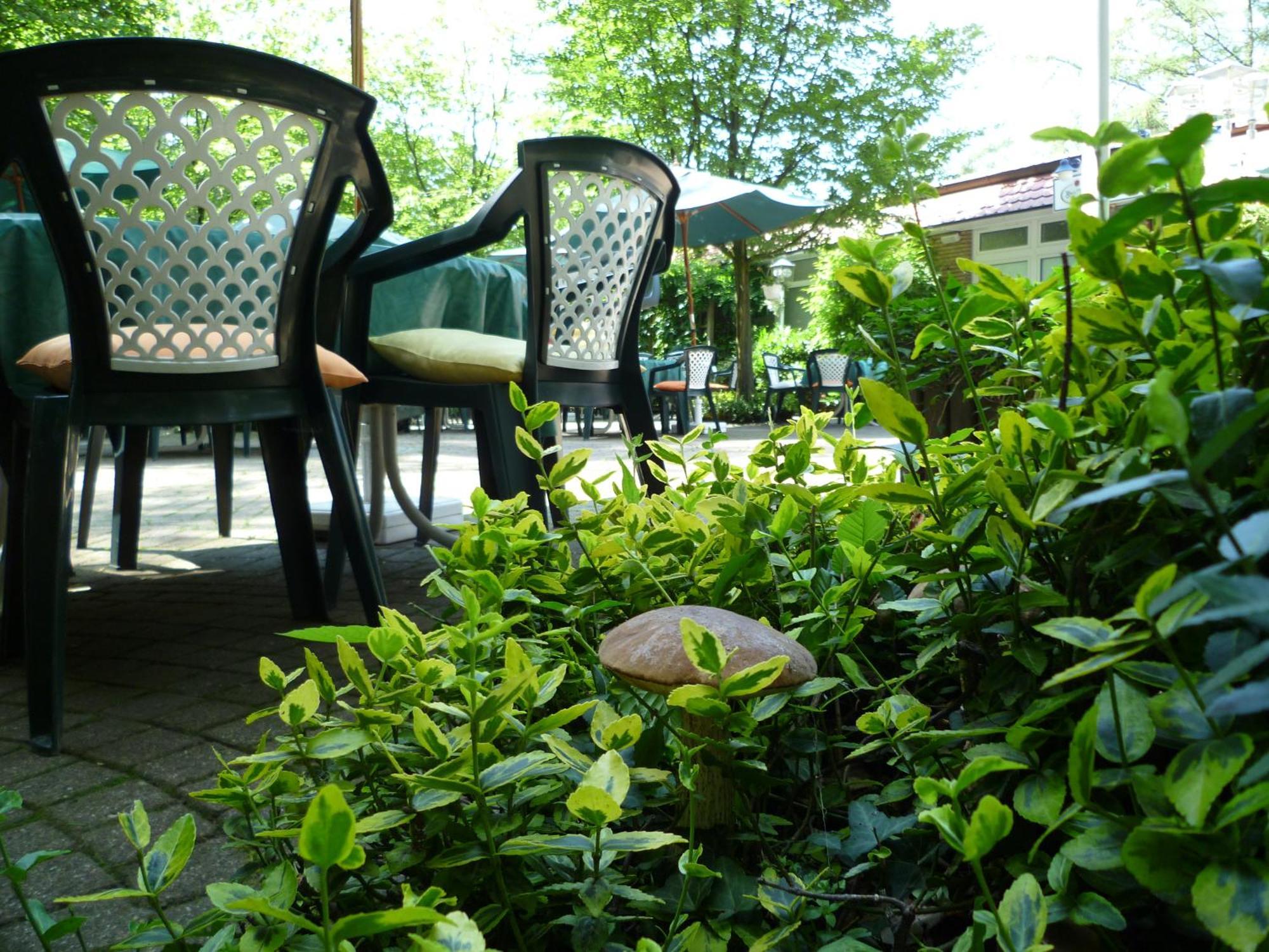 Waldhotel Surwold Екстериор снимка