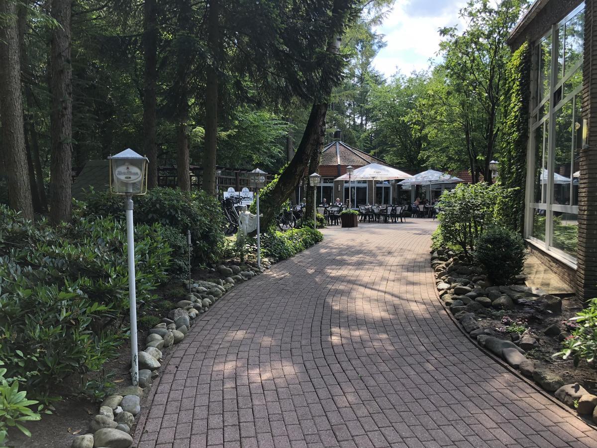 Waldhotel Surwold Екстериор снимка