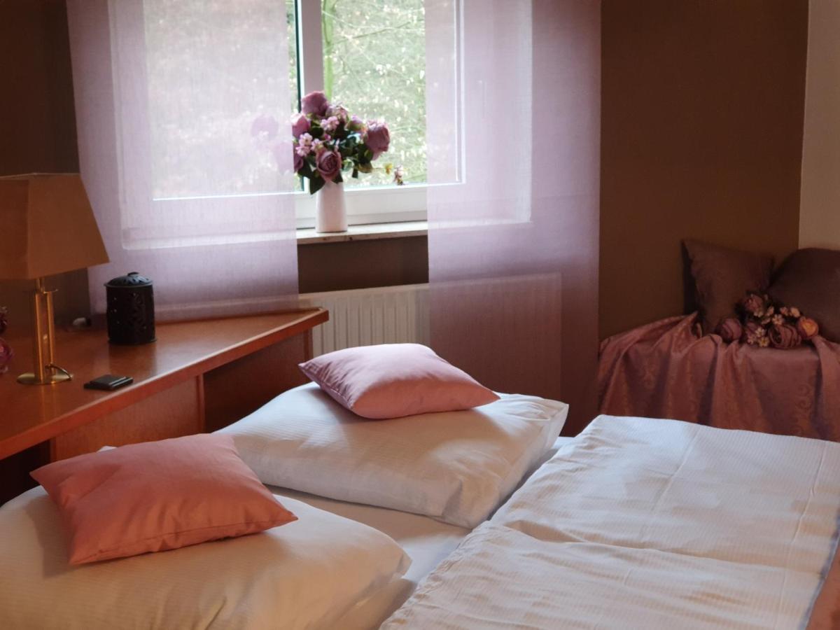 Waldhotel Surwold Екстериор снимка